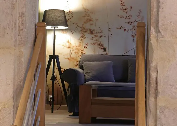 Maison Ancienne Charmante Avec Jardin Clos Et Animaux Acceptes - Fr-1-497-150 *